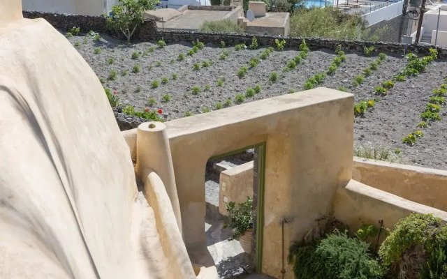 The Palm Tree Residence