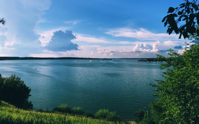 Лесная сказка