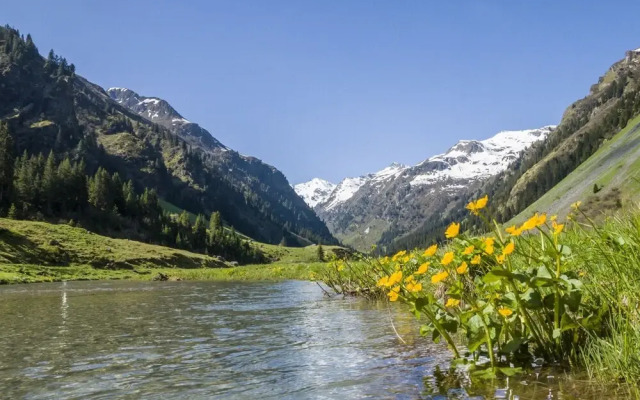 Spacious Holiday Home in Tschagguns Near Ski Area
