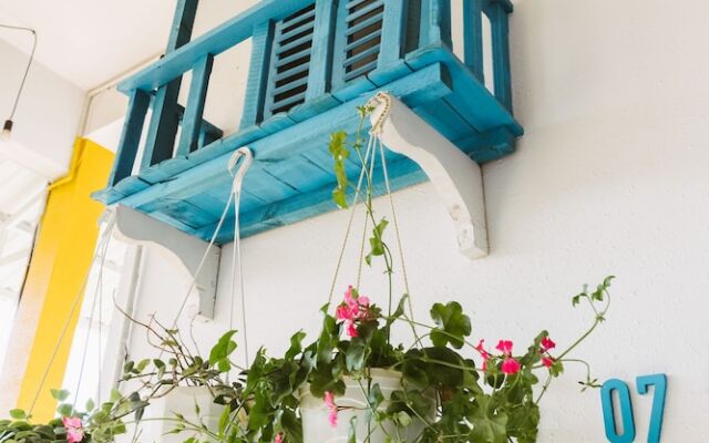 Woodstock Dalat - Hostel
