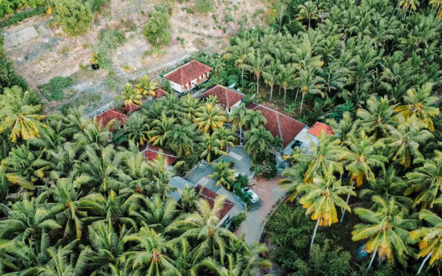 Tarzan Marriott On Penida