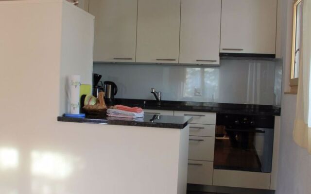 Apartment  Fiesch