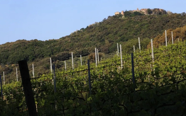 Agriturismo Belvedere Pierini e Brugi