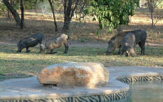 Masorini Bush Lodge