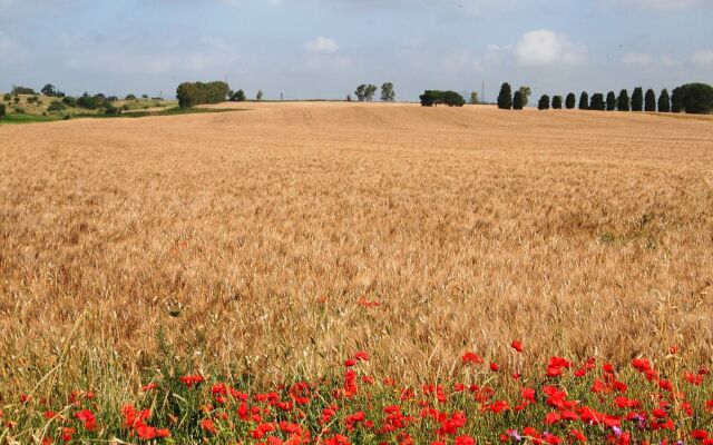 Riserva dell'Olmo