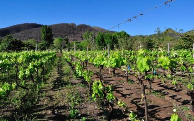 Finca Cielo Verde