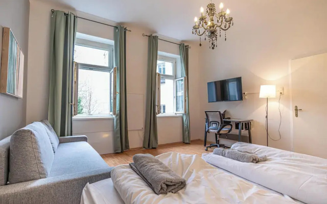 Luxury Flat with Access to Danube