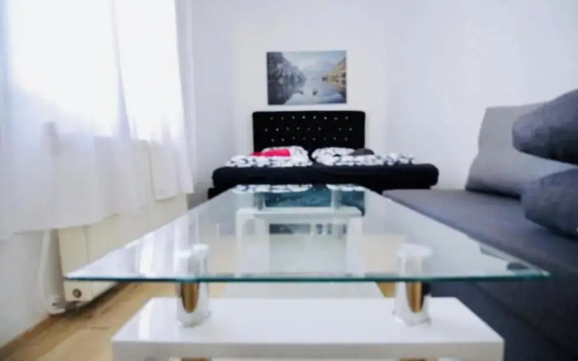 Charming 3BR Apt Close to Augarten Park