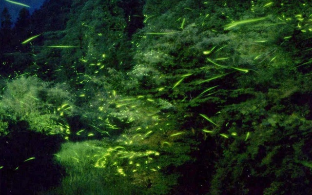 Ryokan Chiisana Oyado Tsuki no Hotaru