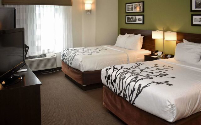 Wingate by Wyndham Salisbury