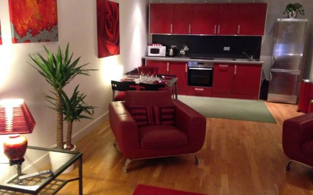 Stunning Spacious City 2 bedroom  Apartment