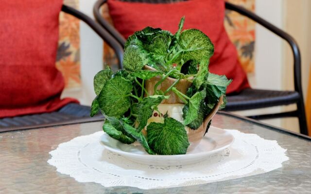 Spacious 2BR Gading Nias Apartment