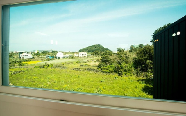 Jeju Damour