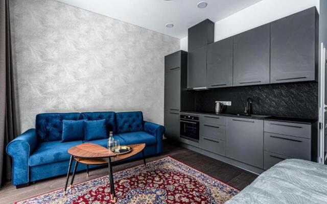 Vilnius Old Town Studio Renessaince 5