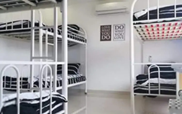 Cat's Hostel