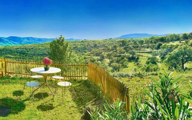 Wild Boar Mountain - France