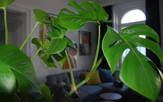 My Home in Vienna - Smart Apartments - Margareten