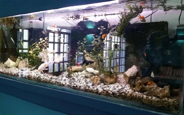 El Acuario Hotel