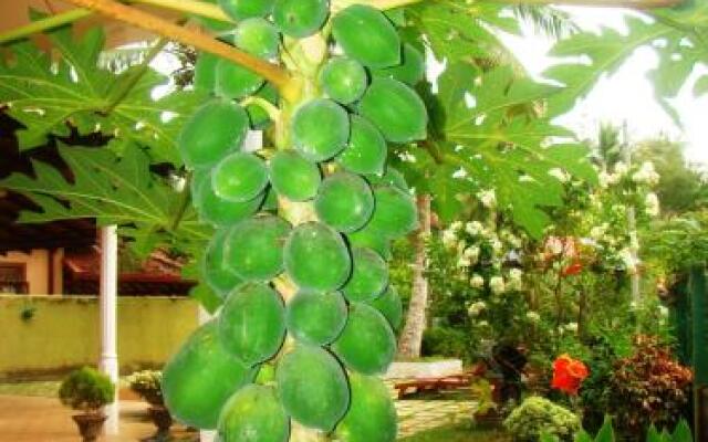 Bentota Home
