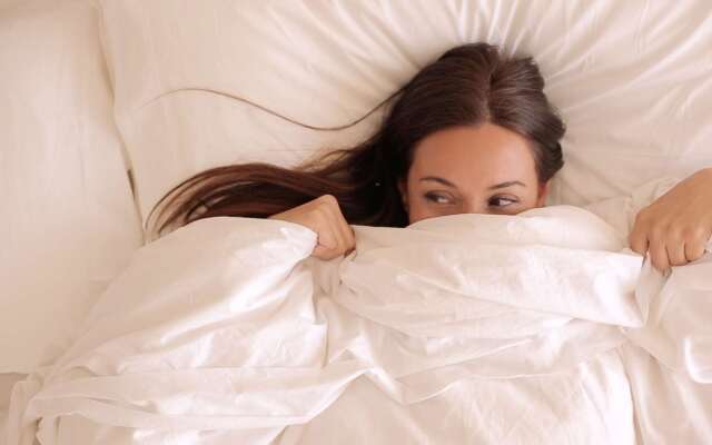 Occidental León Alfonso V