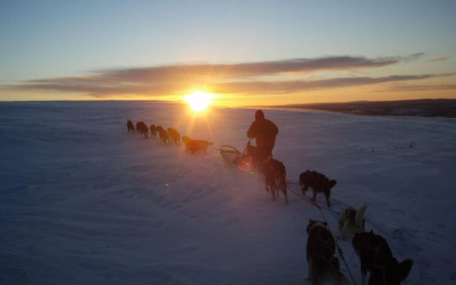 Engholm Husky Design Lodge