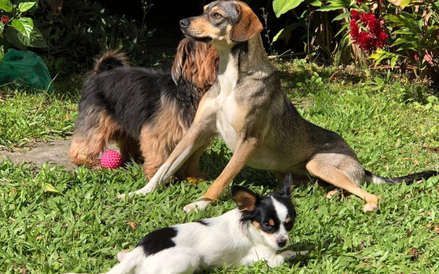 Pousada Lira Praieira