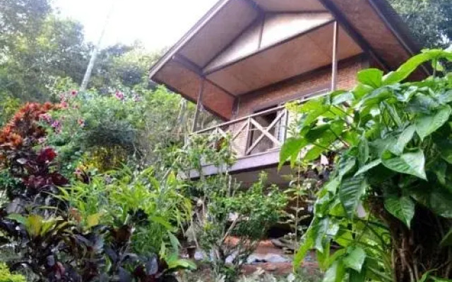 Serene Karen Resort