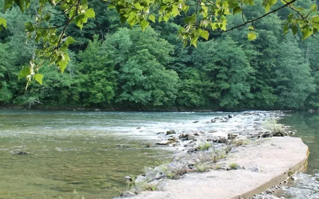 Apartment Zupančič