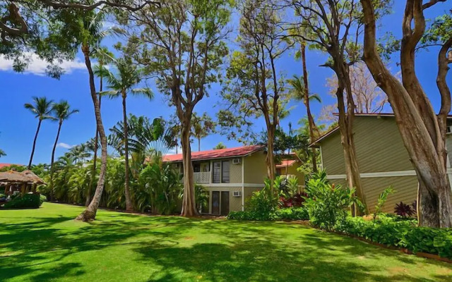 Aina Nalu I109 by RedAwning