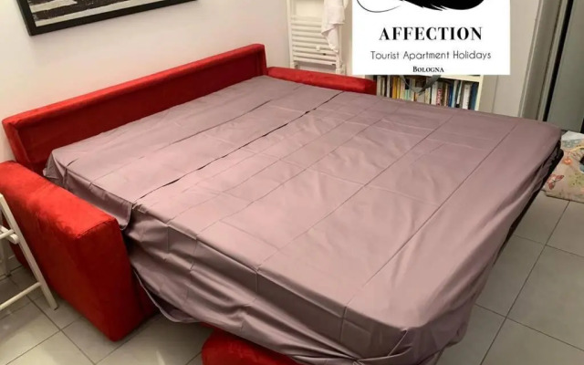 Affection Apartment