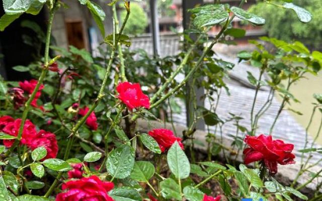 Beautiful View Liangchen Homestay