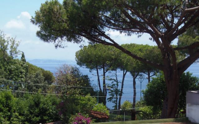 B&B Villa Cinque Pini