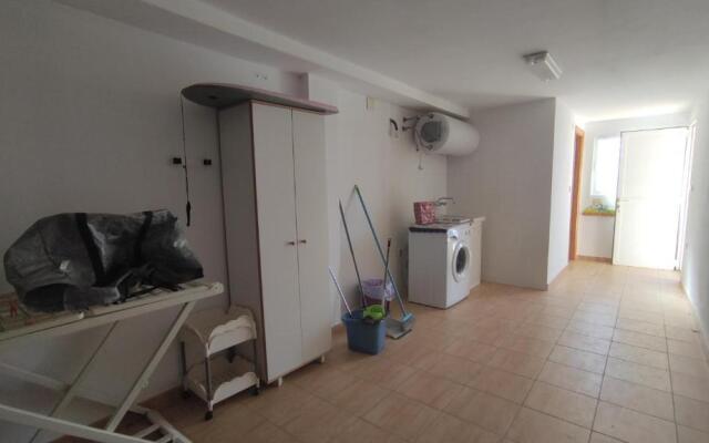 AP204 Renoir Oliva Nova