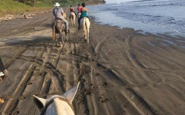 Blue Surf Sanctuary