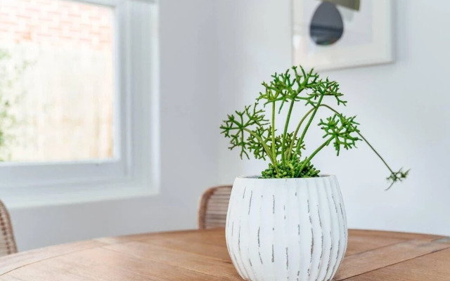 Salt At Arlos Refined Luxury In Glenelg