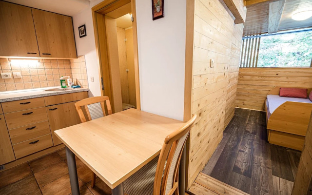 Apartments Zvoh, Krvavec, Ski-in, Ski-out