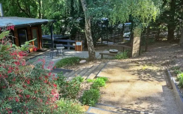 BlueFin Tuna Fishermen Whale Watching