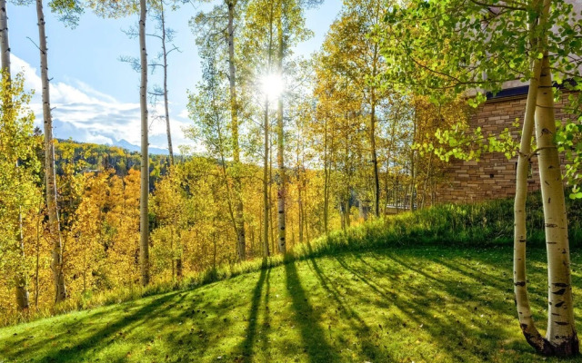 Aspen Ridge 7 by Alpine Lodging Telluride