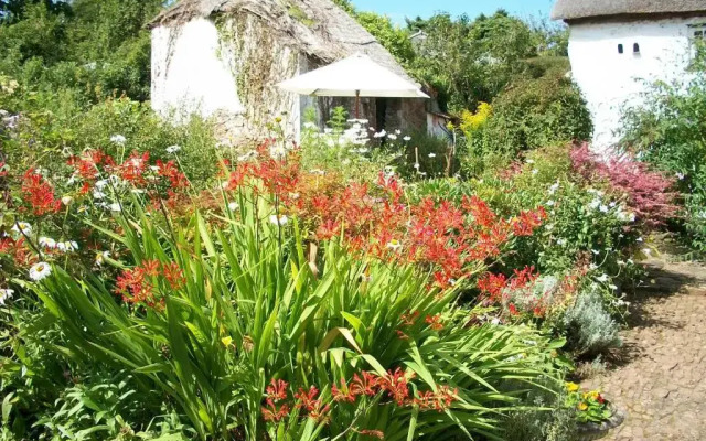 Middletown Farmhouse B&B