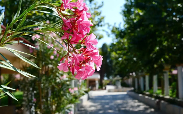 Vox Maris Grand Resort - Adults only