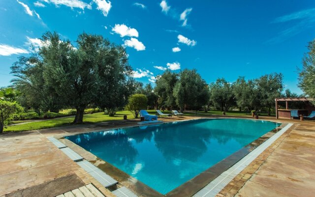 Villa les Oliviers - A Setting of Tranquility