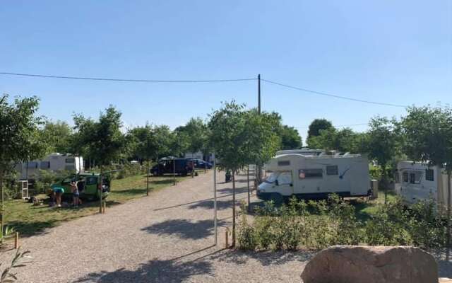 Seregnér Agricamping