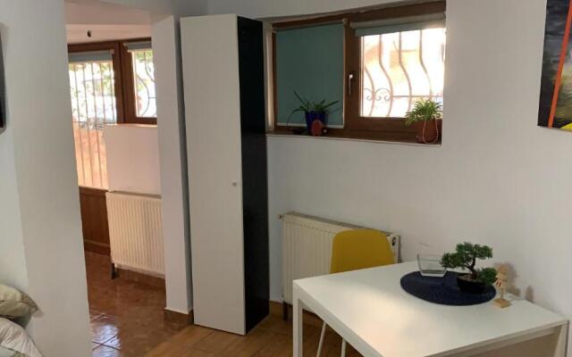 Ultracentral Lozonschi Apartament
