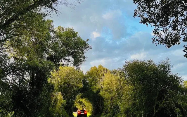 Stadthaus mitten im Künstlerviertel