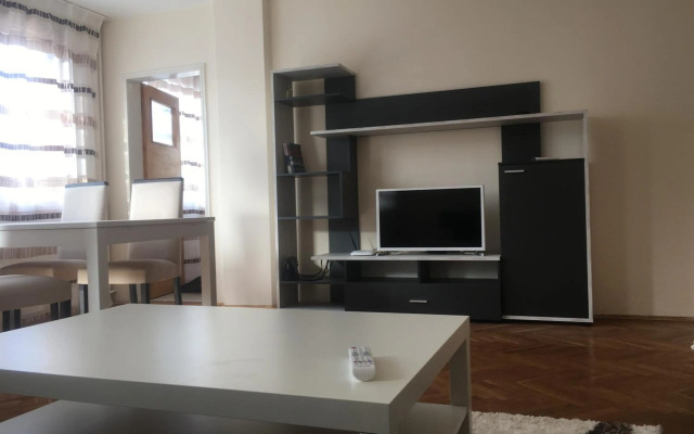 Stylish spacious flat