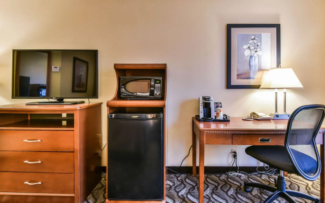 Comfort Inn & Suites Ambassador Bridge