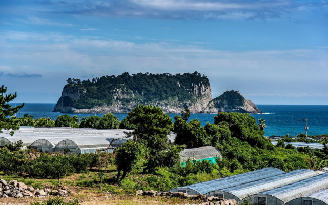 Wind Direction Village