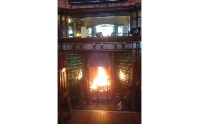 The Forester Ealing