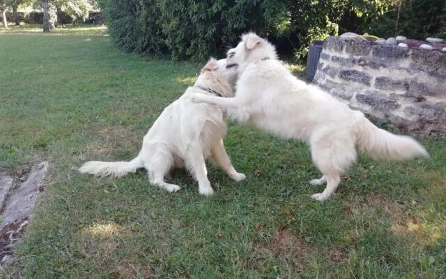 Chambres d'hôtes au verger de Marcilly