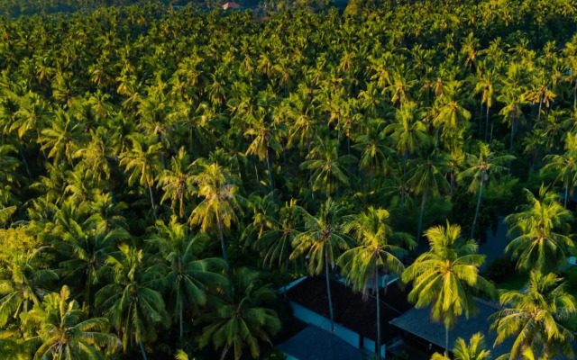 The Kirana Tembok